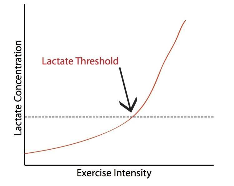 lactate-threshold-myheart