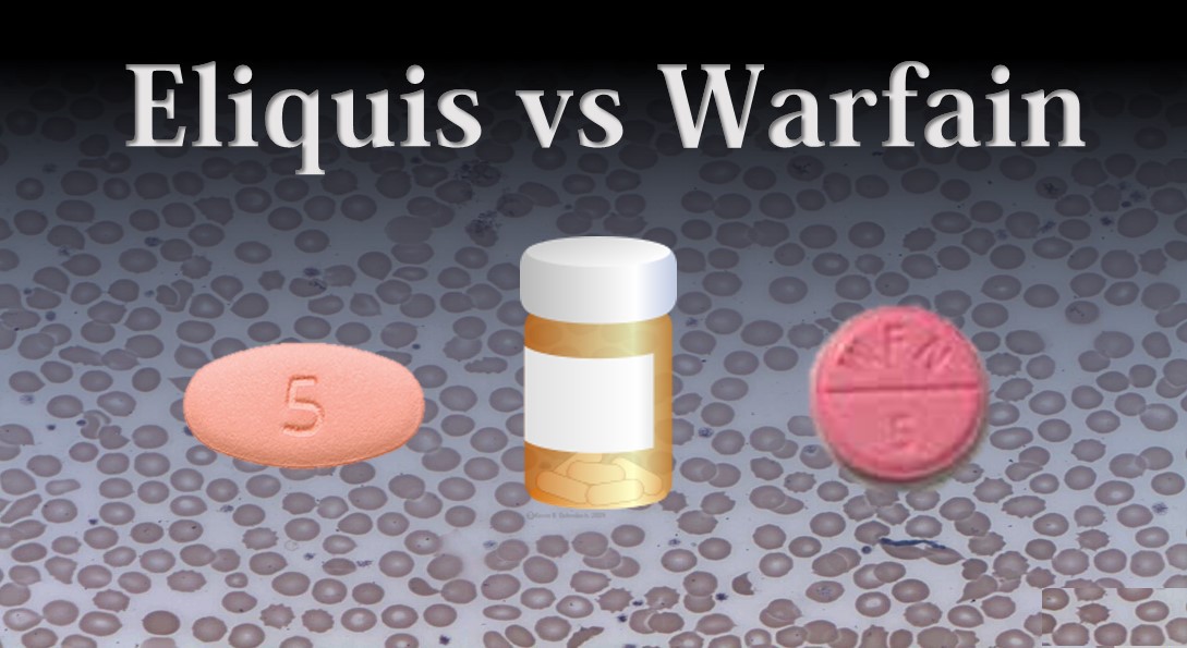 Eliquis versus Warfarin Which is Best MyHeart