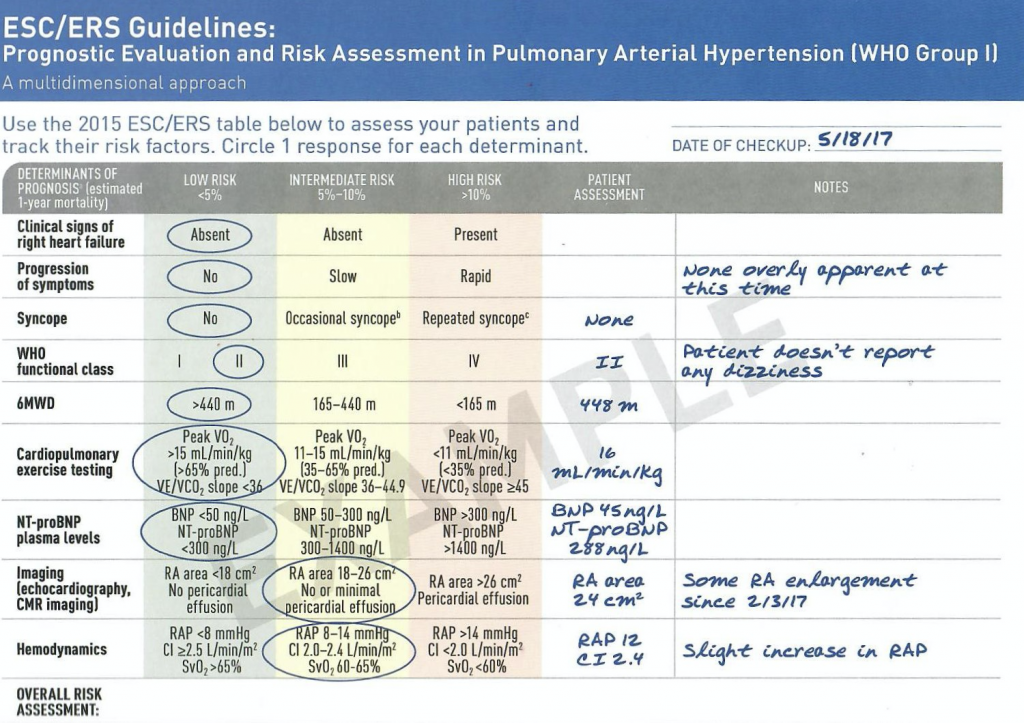 An example of a prognostic evaluation and risk assessment in pulmonary arterial hypertension checklist.