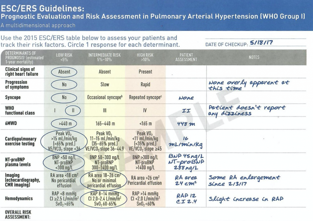 Pulmonary Hypertension Explained By A Cardiologist • Myheart